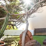 Willa Beachfront Medano&Infinity Jacuzzi&Warm Pool El Médano
