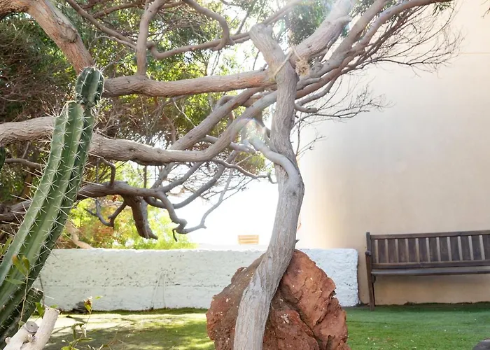 Willa Beachfront Medano&Infinity Jacuzzi&Warm Pool El Médano