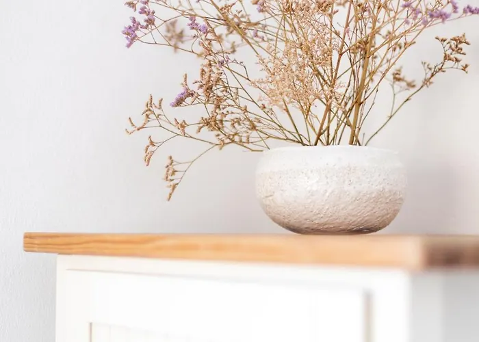 Willa Beachfront Medano&Infinity Jacuzzi&Warm Pool