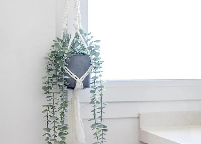 Willa Beachfront Medano&Infinity Jacuzzi&Warm Pool